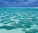 Award winning Great Barrier Reef