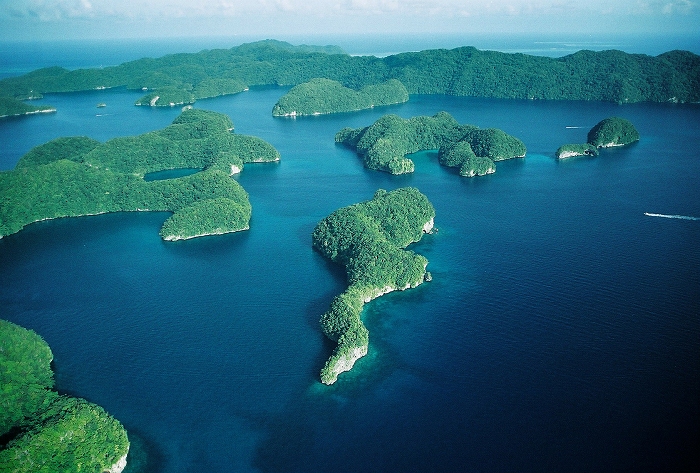 DIVErsion Dive (B)LOG » Blog Archive » Announcing: SY Palau Siren